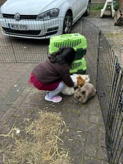 Caridon resident engagement programme delivers Easter event at Templefields House